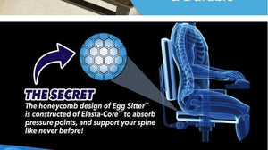 Egg Sitter Seat Cushion - Incredibly Flexible Seat Cushions
